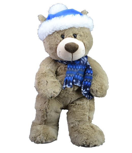 Teddy bear with a hat and scarf