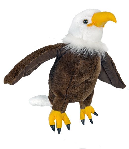 "Liberty" the Bald Eagle